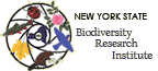 New York State Biodiversity Research Institute